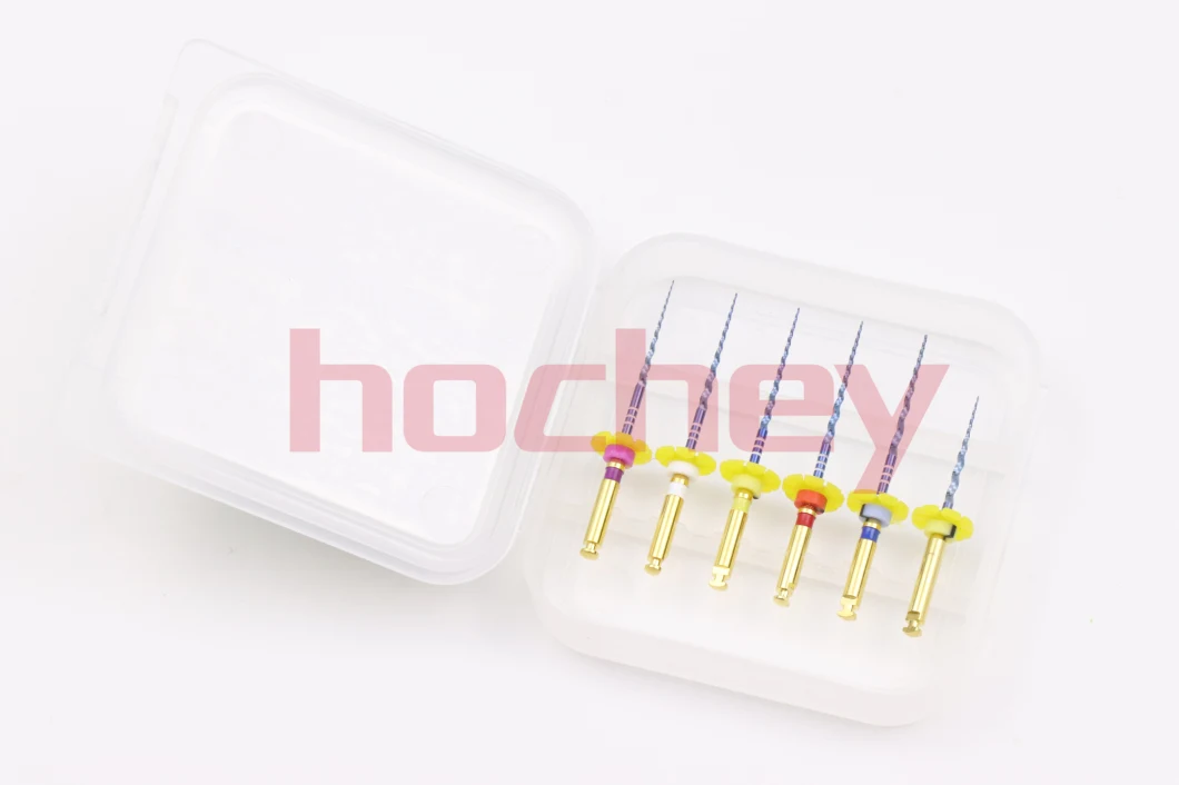 Hochey Medical Extraordinary Dental Rotary Files